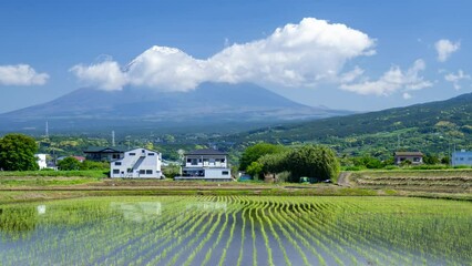 Wall Mural - 富士山と水田タイムラプス 2023