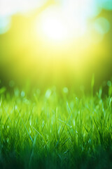 Fresh green grass background in sunny summer day. A natural spring garden background of fresh green grass for product display. generative ai. Blurred nature background