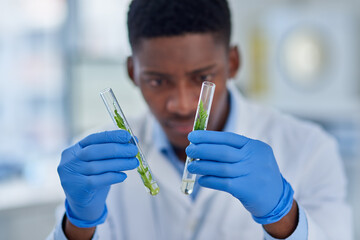 Leinwandbilder - It looks like there is a difference. a focused young male scientist holding two test tubes with tiny plants inside of them while about to conduct experiments inside of a laboratory.