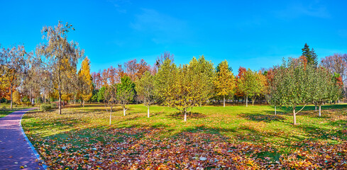 Wall Mural - Panorama of autumn park with green and yellow plants