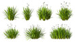 Leinwandbild Motiv Grass meadow flowery shapes cut out 3d rendering png