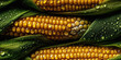 Golden Harvest. Sweet corn seamless background adorned with glistening drops. Pattern with tile-like design. AI Generative