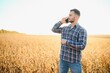 © Serhii - Agronomist inspects soybean crop in agricultural field - Agro concept - farmer in soybean plantation on farm.