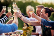 © Flamingo Images - Family and friends making a toast in summer