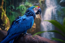 Generative AI Illustration Of Blue Parrot Sitting On Tree Branch Near Majestic Waterfall In Tropical Forest