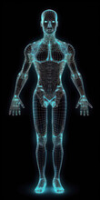 Generative AI Illustration Of Wire Frame Human Body Anatomy X Ray Hologram Against Black Background
