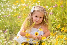 Girl In A White Dress Picking Flowers In A Black Eye Susan Flower Field. Child In A Flower Meadow At In A Patch Of Yellow And White Flowers.