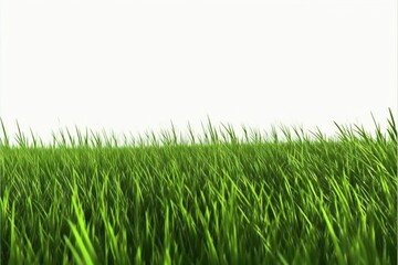 Green grass field, isolated on white background