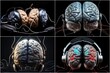 Explore the effect of music on the brain. Study the brain's response to different genres and frequencies of music. Increase your understanding of how headphones affect brain activity while listening.