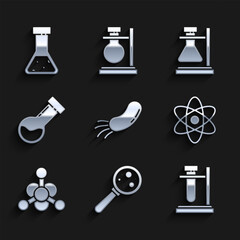 Sticker - Set Bacteria, Microorganisms under magnifier, Test tube flask on stand, Atom, chemical, and icon. Vector