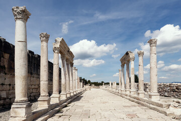 Wall Mural - Agora and columnaded street in Kibyra or Cibyra  ancient city near Gölhisar town, in Burdur province