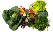 Organic vegetables on isolated png background farming and healthy food copy space flat lay.