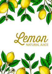 Wall Mural - Vertical lemon background. Hand drawn colorful vector illustration in sketch stile. Design for packaging, invitation, greeting cards