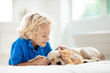 Child, dog and cat. Kids play with puppy, kitten.