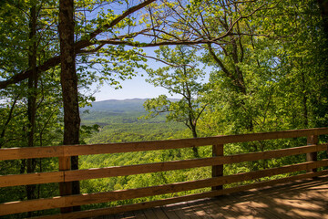 Wall Mural - a gorgeous spring landscape with lush green trees and plants and mountains covered in lush green foliage with a gorgeous clear blue sky at Amicalola Falls State Park in Dawsonville Georgia USA