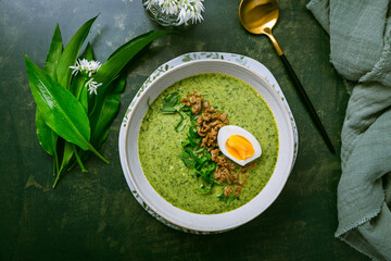 Wall Mural - Wild garlic soup, bear leek soup (ramson soup) with boiled egg