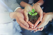 © J Bergen/peopleimages.com - Closeup, hands and group with a plant, business and sustainability for development, economic growth and startup. Zoom, staff and employees with seedling, dirt and hope with entrepreneurship and goal