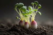 © RocknRoller Studios - Radish sprouts Close up shot. Generative AI.