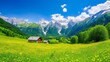 alpine summer landscape in Austria