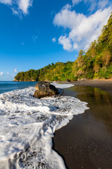 Wall Mural - “Anse Couleuvre“ is a secluded tropical beach with rain forest and tall palm trees in Le Prêcheur on Martinique island, Caribbean Sea (France). Idyllic holiday paradise with black volcanic lava sand.