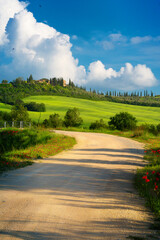 Wall Mural - Beautiful Italian summer rural landscape; Countryside Panorama of summer green field with dirt road and sunny cloudy sky.