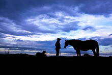 Landscape With Woman Dog And Horse Silhouette Against Blue Clouds Of Dusk Sky