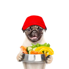 Poster - Pug puppy wearing red cap holds bowl of vegetables. isolated on white background