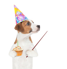 Poster - Jack russell terrier puppy  wearing a party cap holds cupcake with birning candle and points away on empty space. Isolated on white background