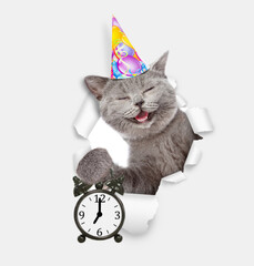 Poster - Happy cat wearing party cap looks through a hole in white paper and shows alarm clock