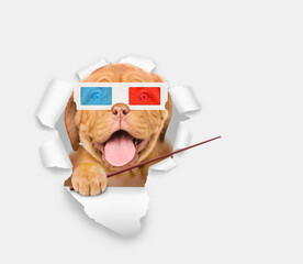 Poster - Happy puppy wearing 3d glasses looking through the hole in white paper and pointing away on empty space
