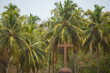 Closeup shot of Crucifix Bom Jesus in front of Palm trees at Basilica of Bom Jesus Church in Goa, India. Cross of jesus christ at old catholic church in Goa. Cross in front of the palm trees.	