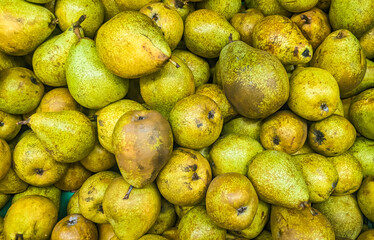 Grocery store display full of ripe yellow pears. Kitchen garden yellow harvest fruits.