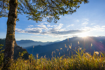 Sticker - Beautiful sunrise in Dueigaoyue Station at Alishan national forest recreation area