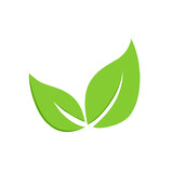 Fototapeta Na ścianę - green leaf icon vector