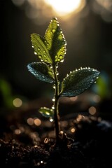 Wall Mural - Young plant with water drops, created with generative AI