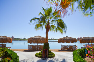 Wall Mural - Beautiful landscape in Steigenberger Golf Resort El Gouna area in El Gouna, Red Sea, Egypt, Africa