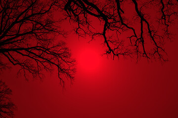 Leafless Oak tree branches silhouette. Black and red. Natural oak tree branches silhouette on a red background. Silhouettes of a dark gloomy forest with textured trees. Gothic background. 