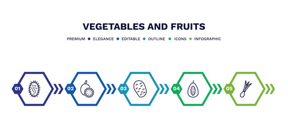 Wall Mural - set of vegetables and fruits thin line icons. vegetables and fruits outline icons with infographic template. linear icons such as rambutan, passion fruit, potato, papaya, spring onion vector.