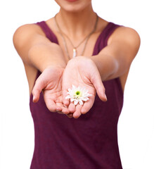 Wall Mural - Just a little something for you. Cropped studio shot of a young woman holding up a flower isolated on white.