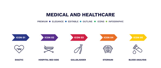 Wall Mural - set of medical and healthcare thin line icons. medical and healthcare outline icons with infographic template. linear icons such as diagtic, hospital bed side view, gallbladder, sternum, blood