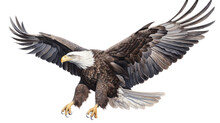 An Isolated Bald Eagle (Haliaeetus Leucocephalus) , Flying In Motion And In Landing On A Branch, Wildlife-themed, Photorealistic Illustration On A Transparent Background Cutout In PNG. Generative AI