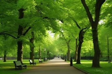 Wall Mural - Beautiful public park with green grass field on morning light Created with Generative AI technology.