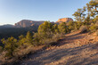 © Melani - Burnt Mountain and Kolob fingers in Southern Utah are seen in warm sunset light from the rim of nearby Smith Mesa. Gnarled juniper trees and open ground frame the scene.