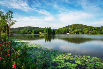 Canvas Print - Nice city park by the lake