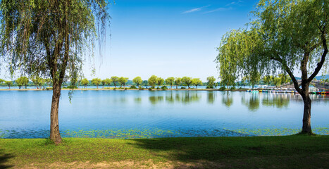 Canvas Print - Beautiful city park with lake, trees and mountains