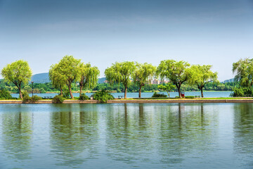 Poster - Beautiful city park with lake, trees and mountains