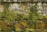 Fototapeta Lawenda - old stone wall, generative ai
