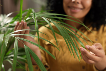 Canvas Print - Relaxing atmosphere. Happy woman with beautiful houseplant, focus on leaves