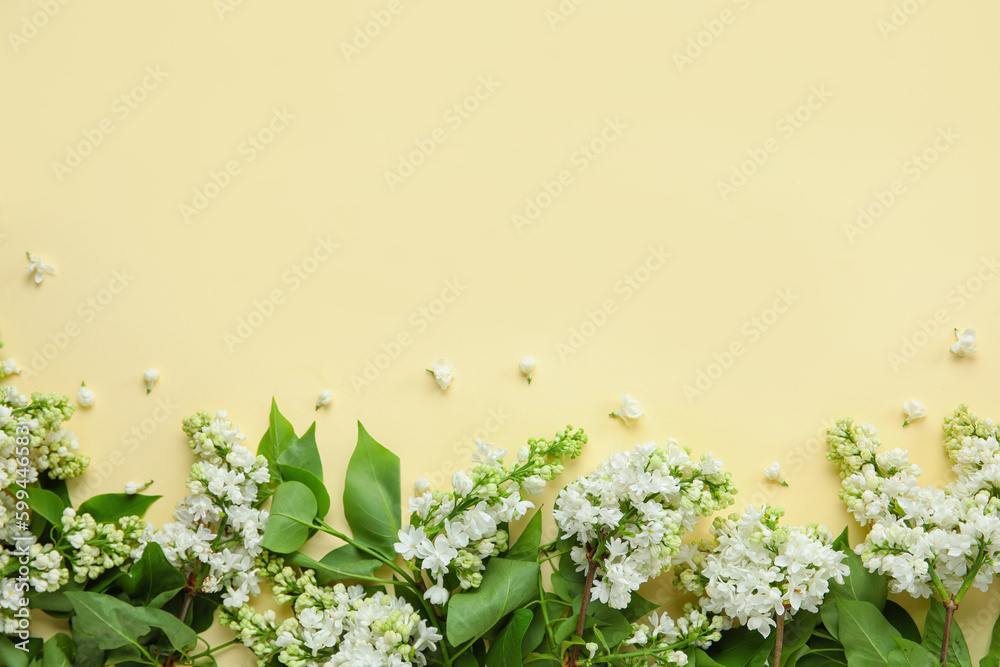 Blooming lilac flowers on beige background