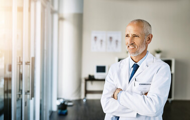 Poster - The expert in all things health. a mature doctor standing in a hospital.